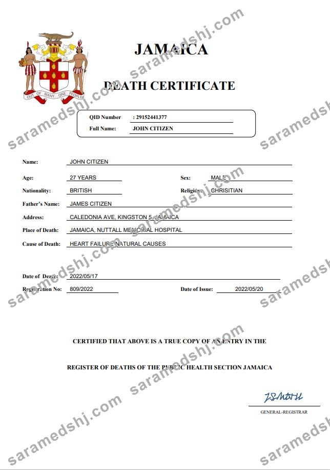 Jamaica vital record death certificate Word and PDF template